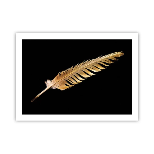 Poster - Non una piuma qualsiasi.... - 70x50 cm