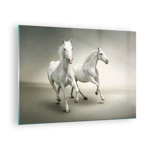 Quadro su vetro - Due cavalli bianchi che corrono su uno sfondo chiaro - 70x50cm - White power! - Decorazione murale moderna per soggiorno e camera da letto ARTTOR