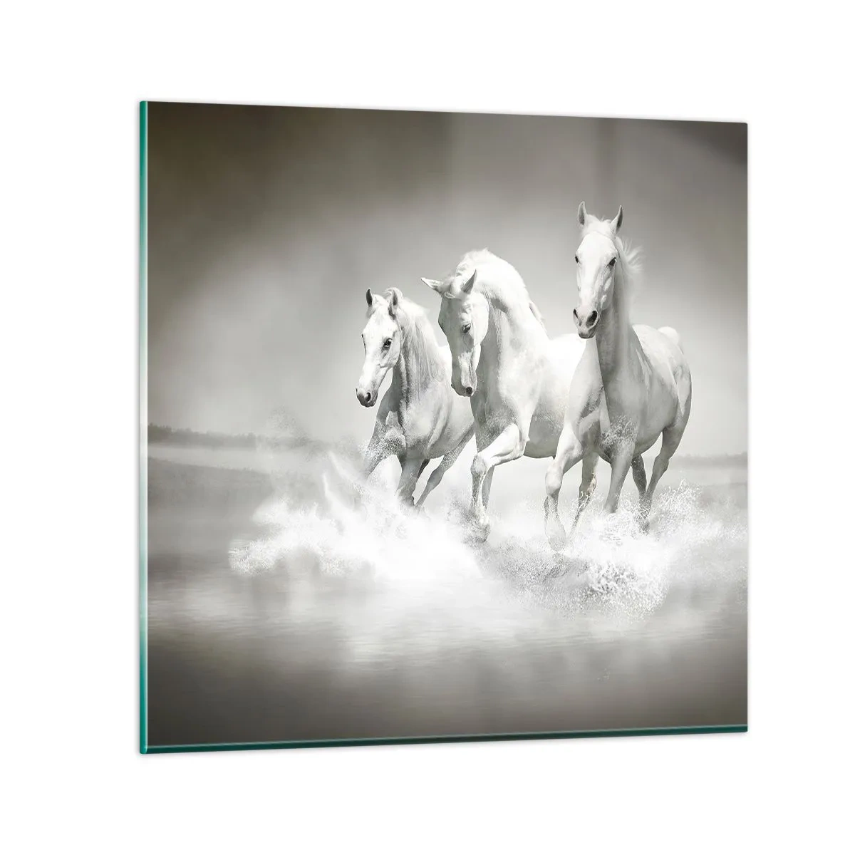 Quadro su vetro - Estasi bianca - 70x70 cm