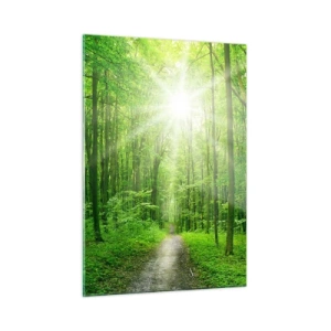 Quadro su vetro - Un sentiero nel bosco illuminato dai raggi del sole - 50x70cm - Cattedrale verde - Decorazione murale moderna per soggiorno e camera da letto ARTTOR