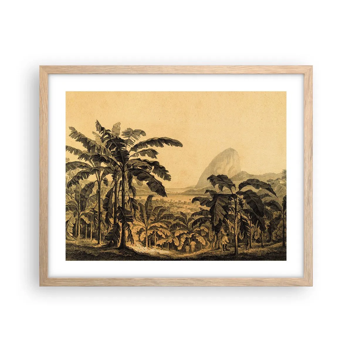 Poster in cornice rovere chiaro - Nel clima coloniale - 50x40 cm