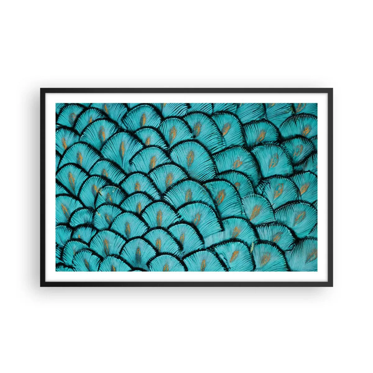 Poster in cornice nera - La grande festa delle piume - 91x61 cm