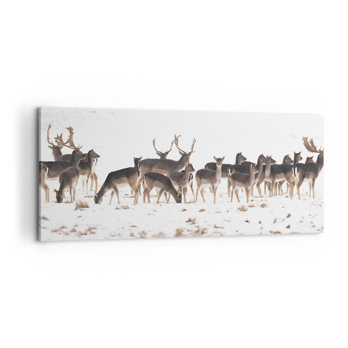 Quadro su tela - Stampe su Tela - Tra poco è Natale? - 100x40 cm