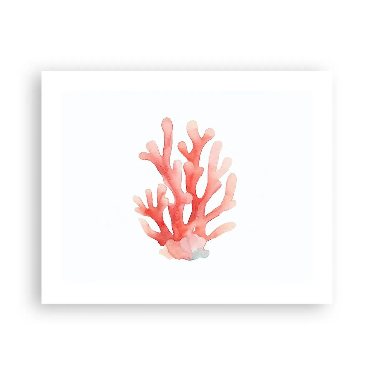 Poster - Corallo color corallo - 50x40 cm