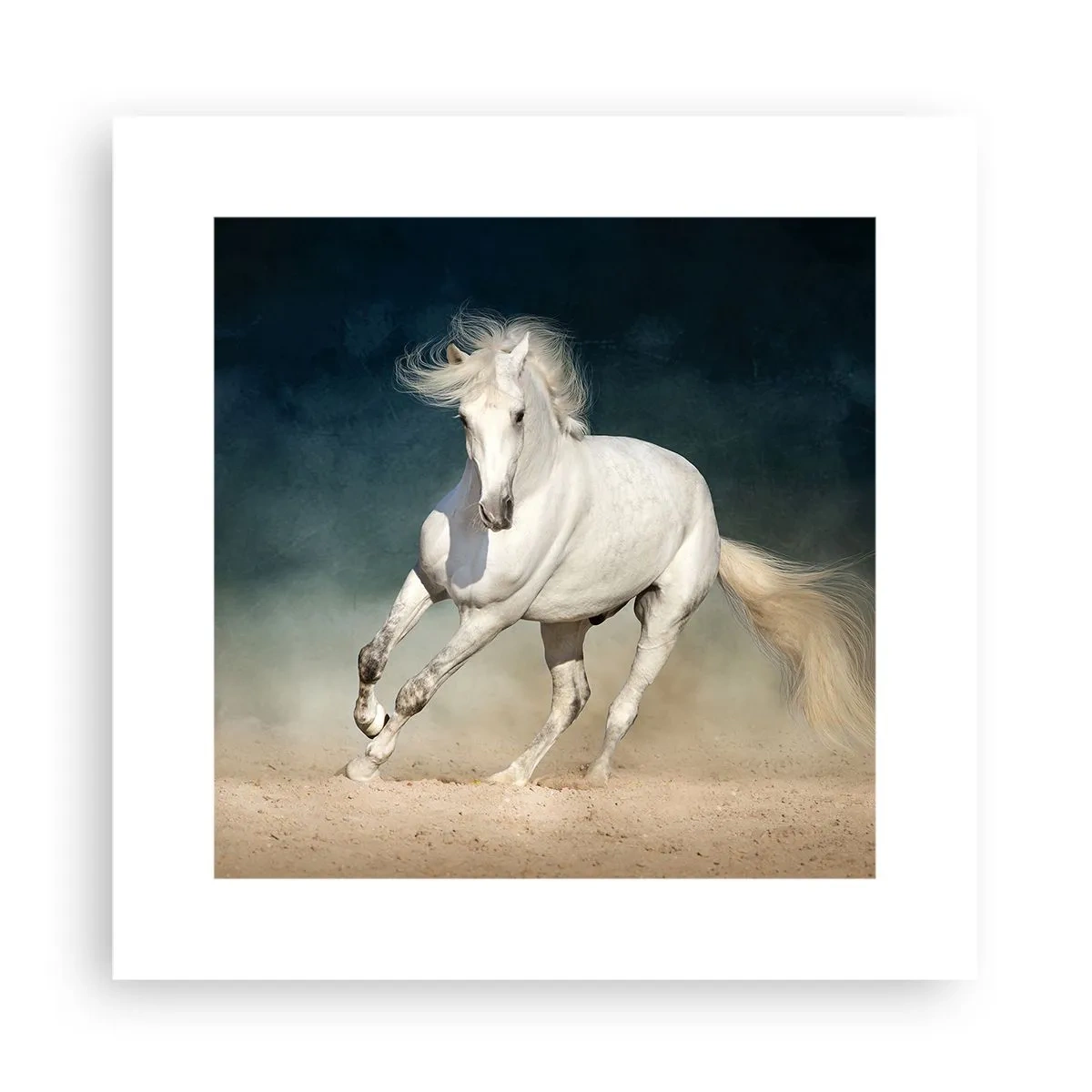 Poster - Libertà allo stato puro - 30x30 cm