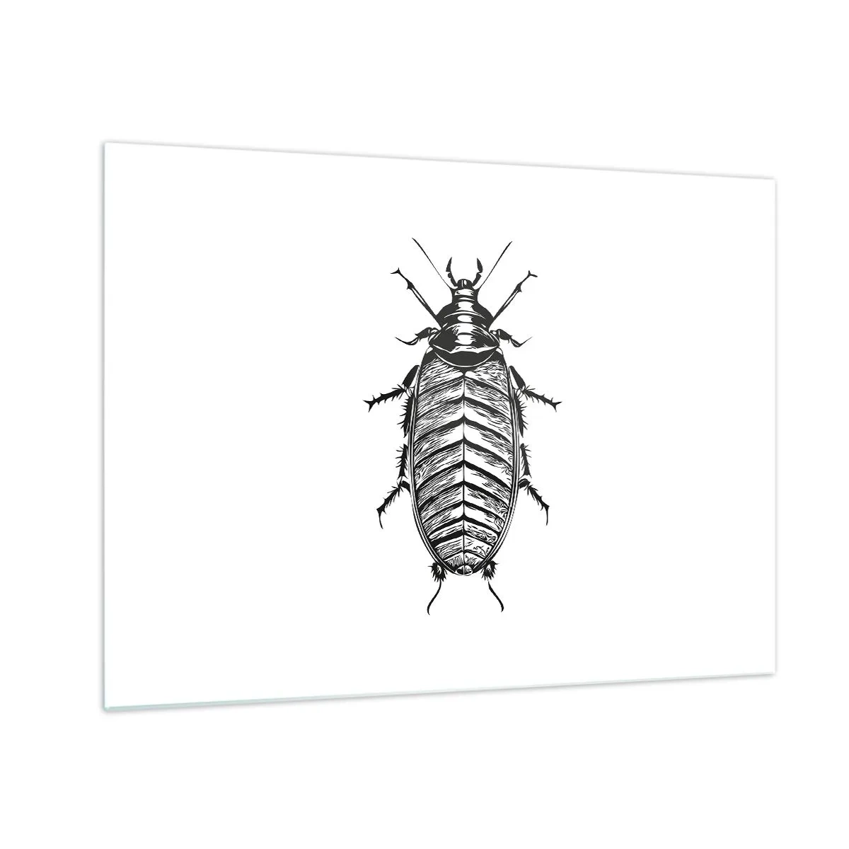 Quadro su vetro - Illustrazione in bianco e nero di un insetto su sfondo bianco - 70x50cm - Che esemplare! - Decorazione murale moderna per soggiorno e camera da letto ARTTOR