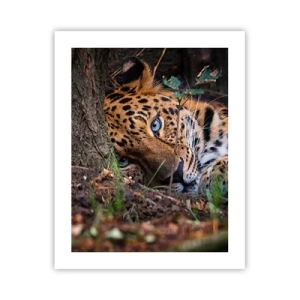 Poster - Fidati di me - 40x50 cm