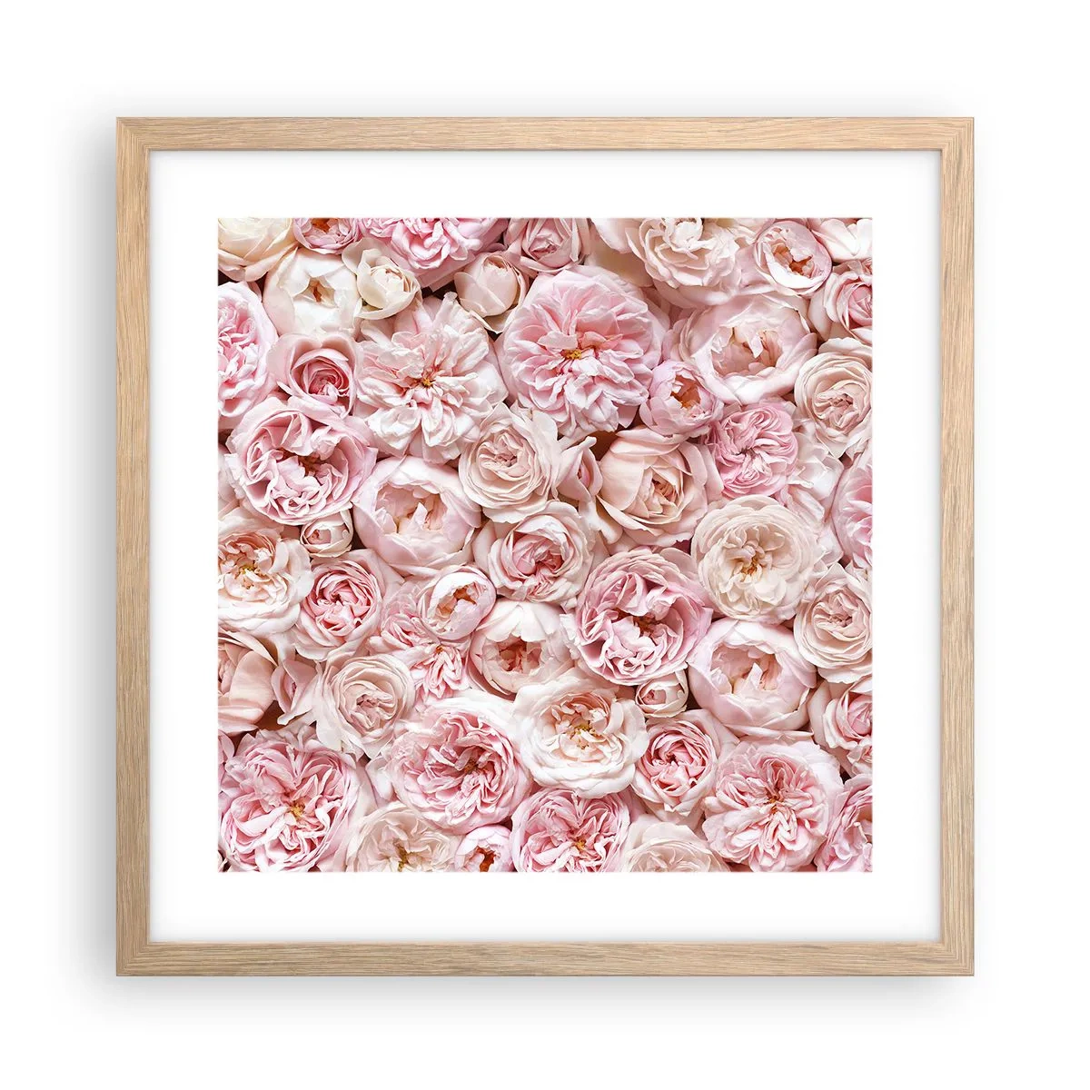 Poster in cornice rovere chiaro - Coperto di rose - 40x40 cm