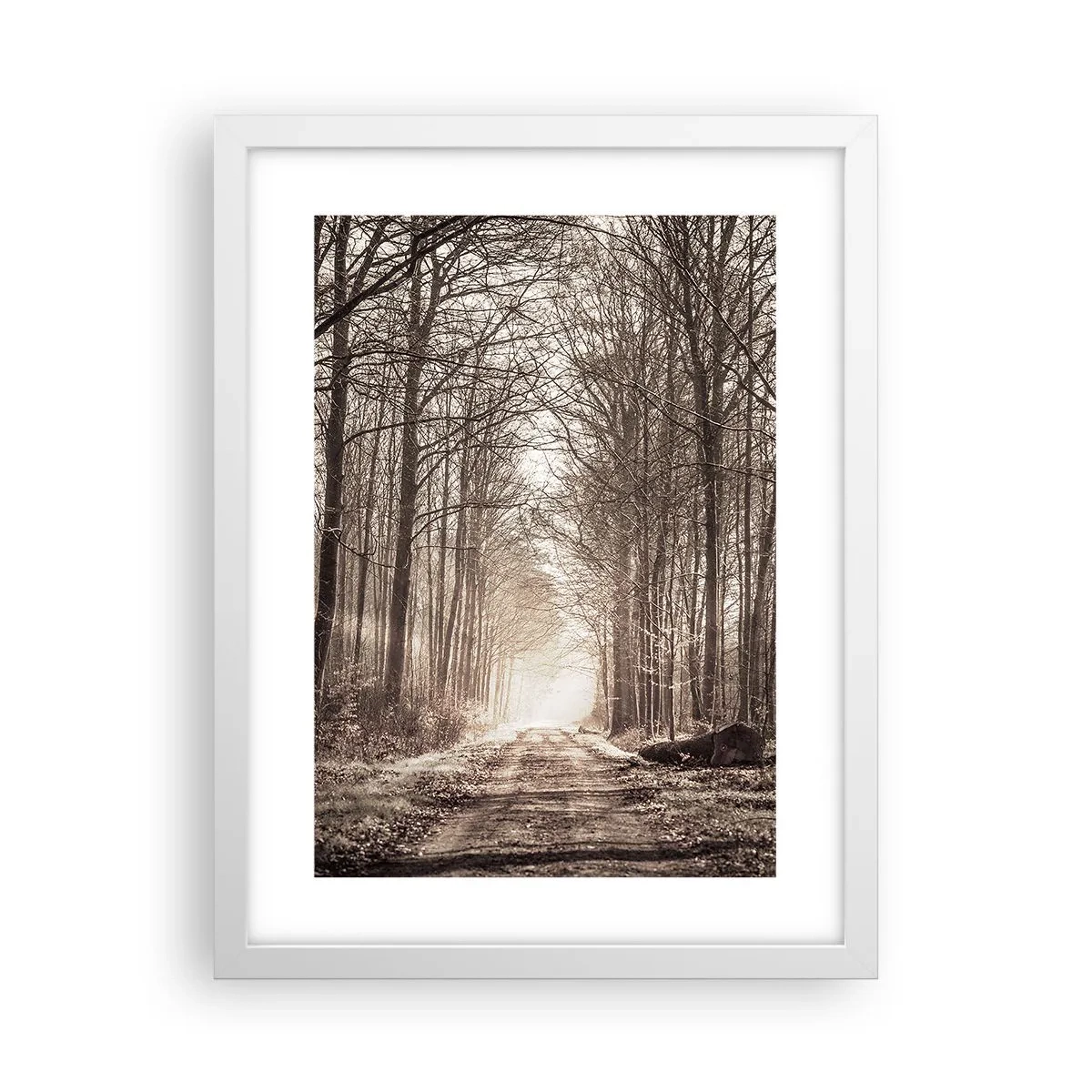 Poster in cornice bianca - La cattedrale del bosco - 30x40 cm