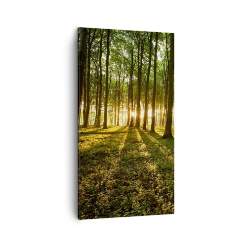 Quadro su tela - Stampe su Tela - La foto di ogni primavera - 45x80 cm