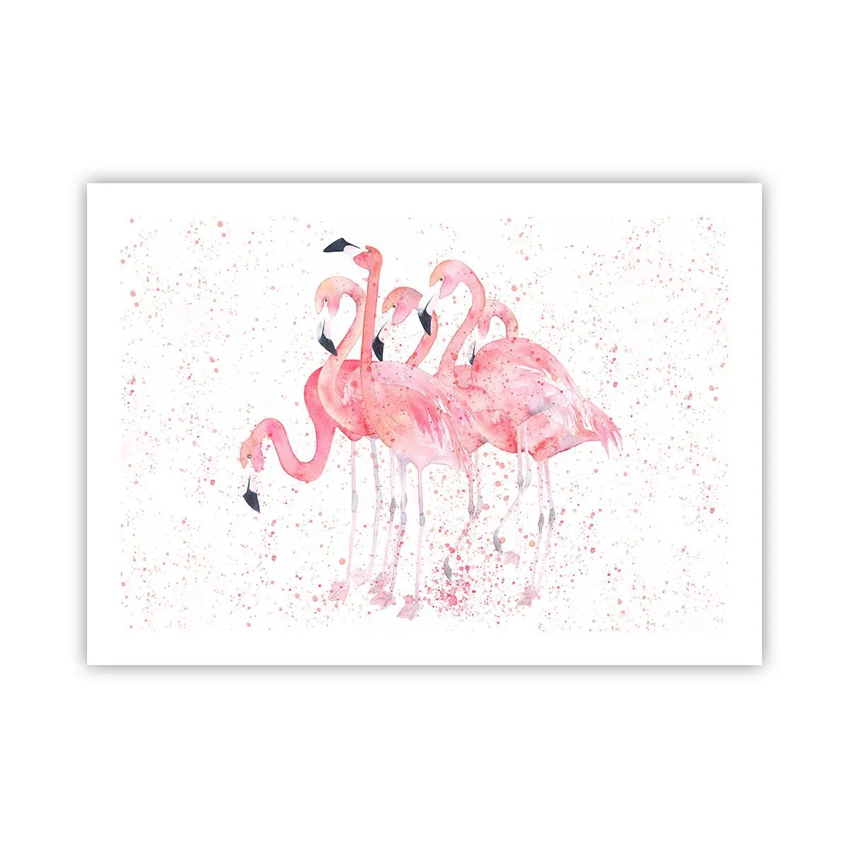 Poster - Gruppo in rosa - 70x50 cm