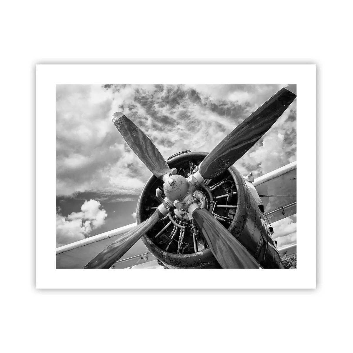 Poster - Il dominatore dell'aria - 50x40 cm