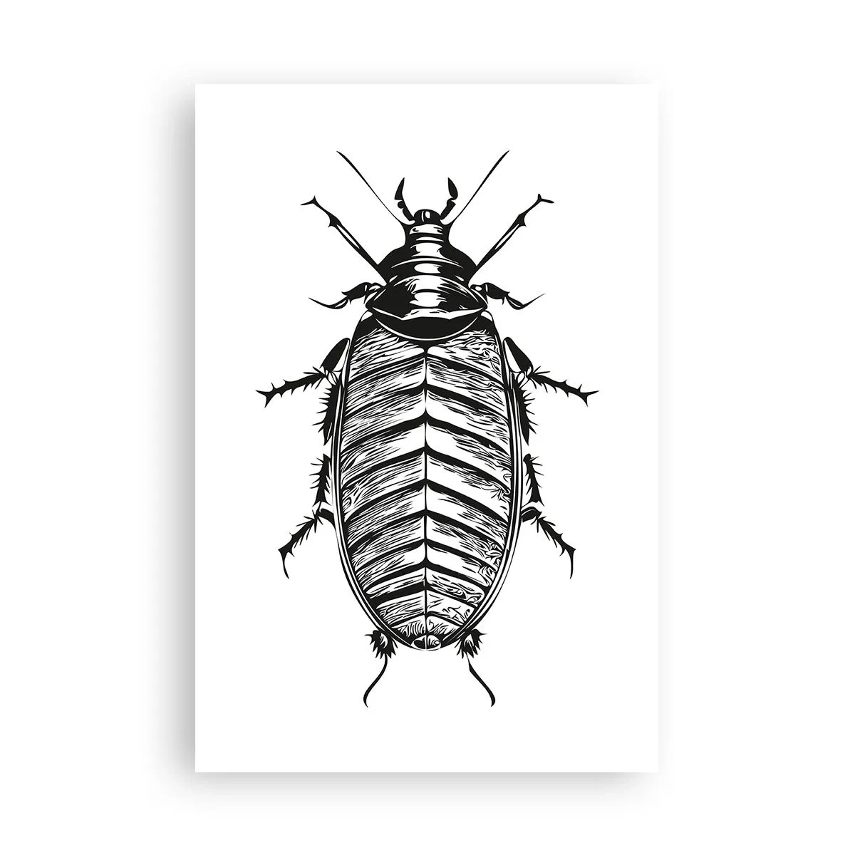 Poster - Che esemplare! - 61x91 cm