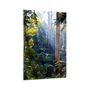 Quadro su vetro - Foresta tropicale illuminata dai raggi del sole - 70x100cm - La favola del bosco - Decorazione murale moderna per soggiorno e camera da letto ARTTOR