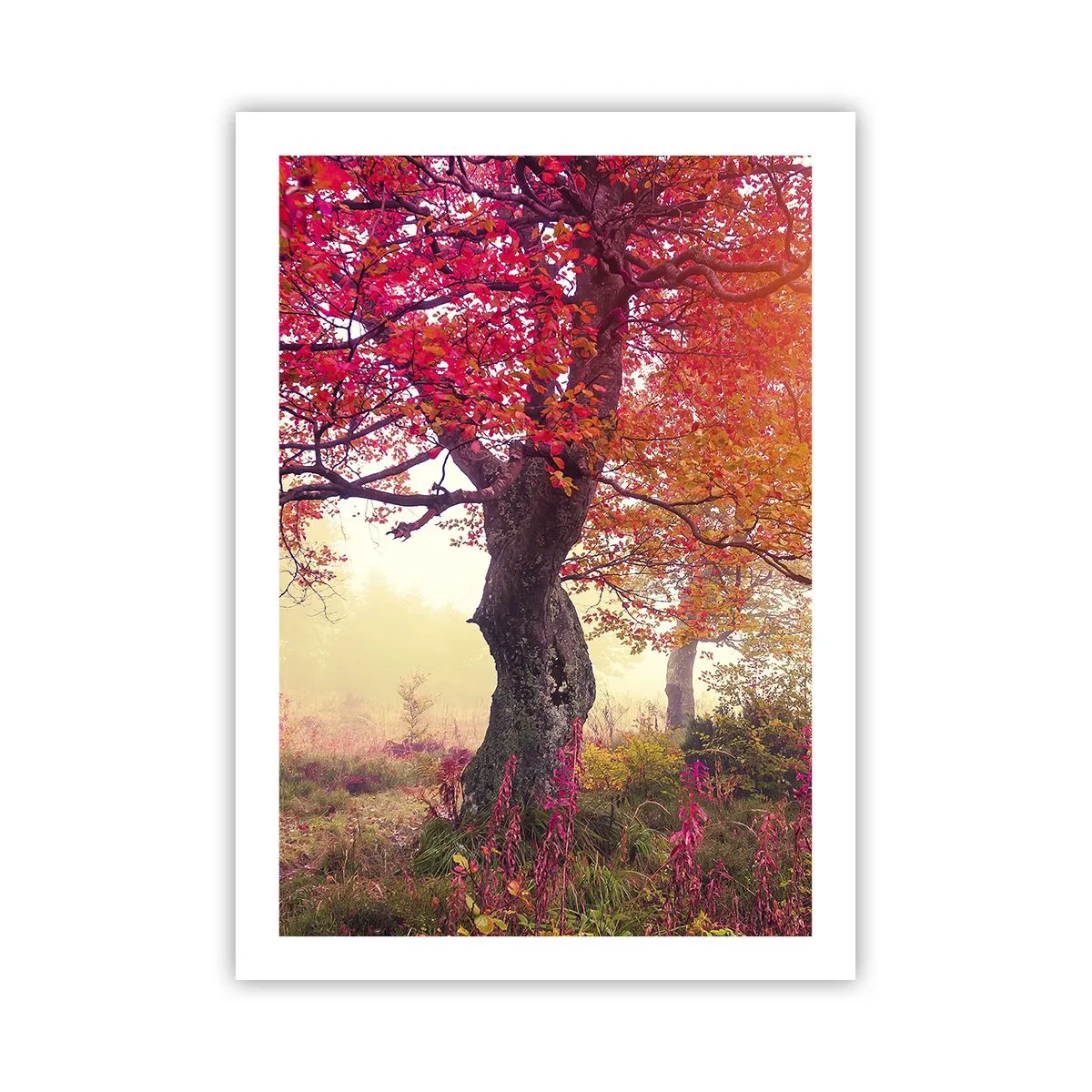 Poster - Un albero con foglie rosse in un paesaggio autunnale - 50x70cm - L'esplosione della fioritura - Decorazione murale moderna per soggiorno e camera da letto ARTTOR