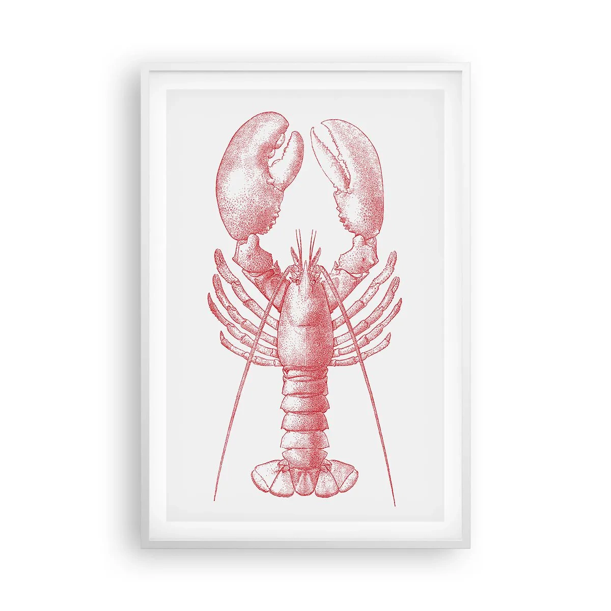 Poster in cornice bianca - Aragosta d'agosto - 61x91 cm