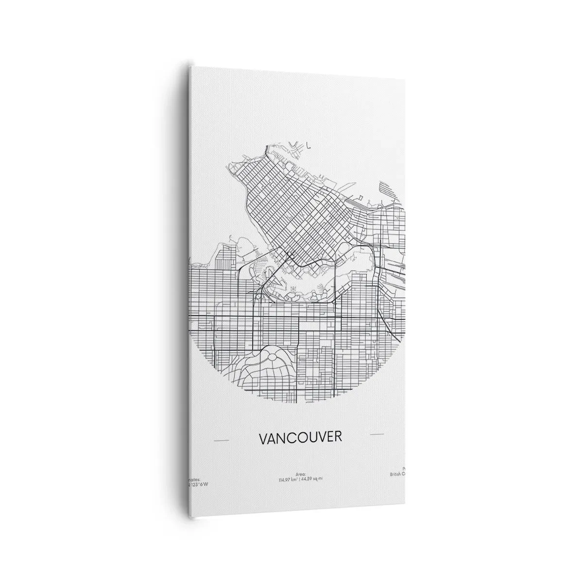 Quadro su tela - Stampe su Tela - Anatomia Vancouver - 65x120 cm