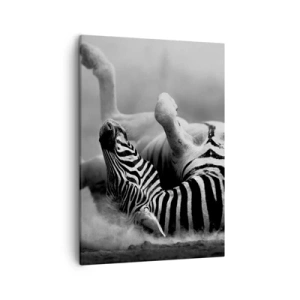 Quadro su tela - Stampe su Tela - Una zebra bianca e nera che rotola nella sabbia - 50x70cm - Morire dal ridere - Decorazione murale moderna per soggiorno e camera da letto ARTTOR