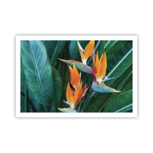 Poster - È un fiore o un uccello? - 91x61 cm