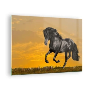 Quadro su vetro - Un cavallo nero che galoppa contro il sole al tramonto - 70x50cm - Bello, libero e selvaggio - Decorazione murale moderna per soggiorno e camera da letto ARTTOR