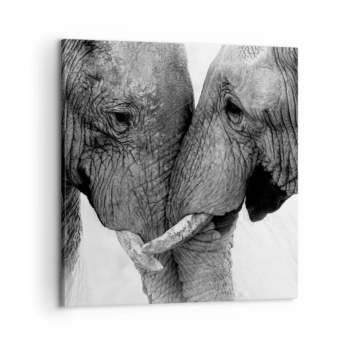 Quadro su tela - Stampe su Tela - Dichiarazione sincera - 60x60 cm