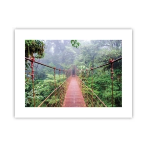 Poster - Sospeso sopra gli alberi - 40x30 cm