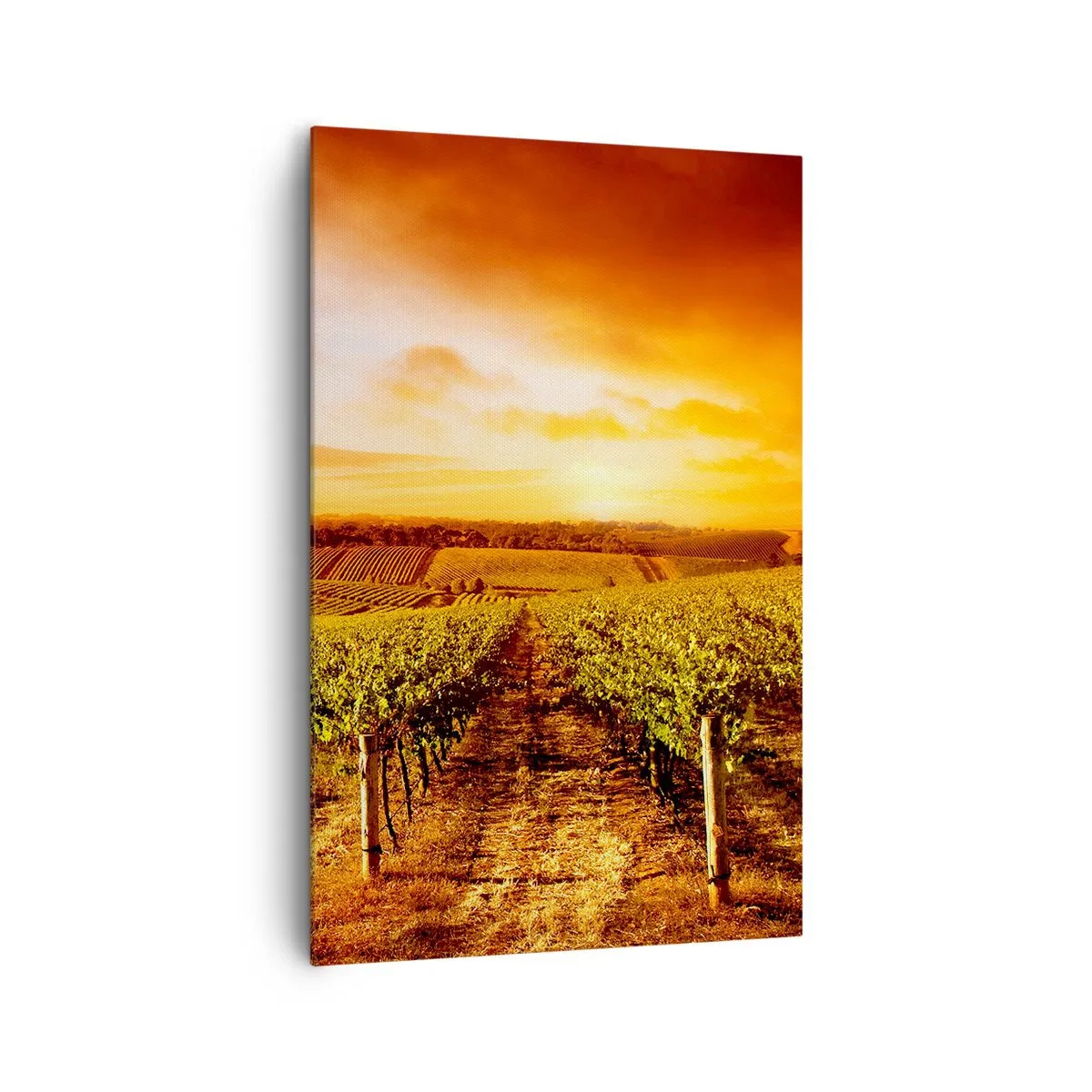 Quadro su tela - Stampe su Tela - Vigneto al tramonto con toni caldi del cielo - 80x120cm - Profumo di frutta con una nota di sole - Decorazione murale moderna per soggiorno e camera da letto ARTTOR