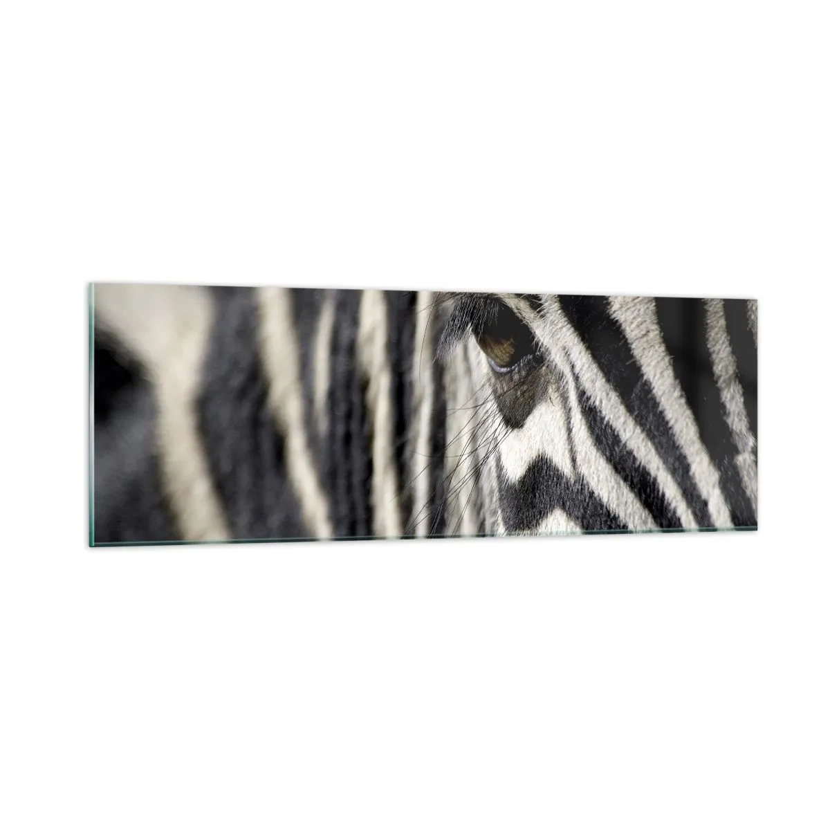 Quadro su vetro - Ritratto a strisce - 90x30 cm