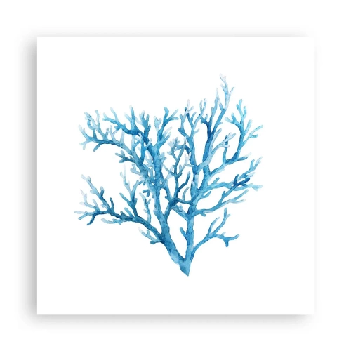 Poster - Filigrana marina - 40x40 cm