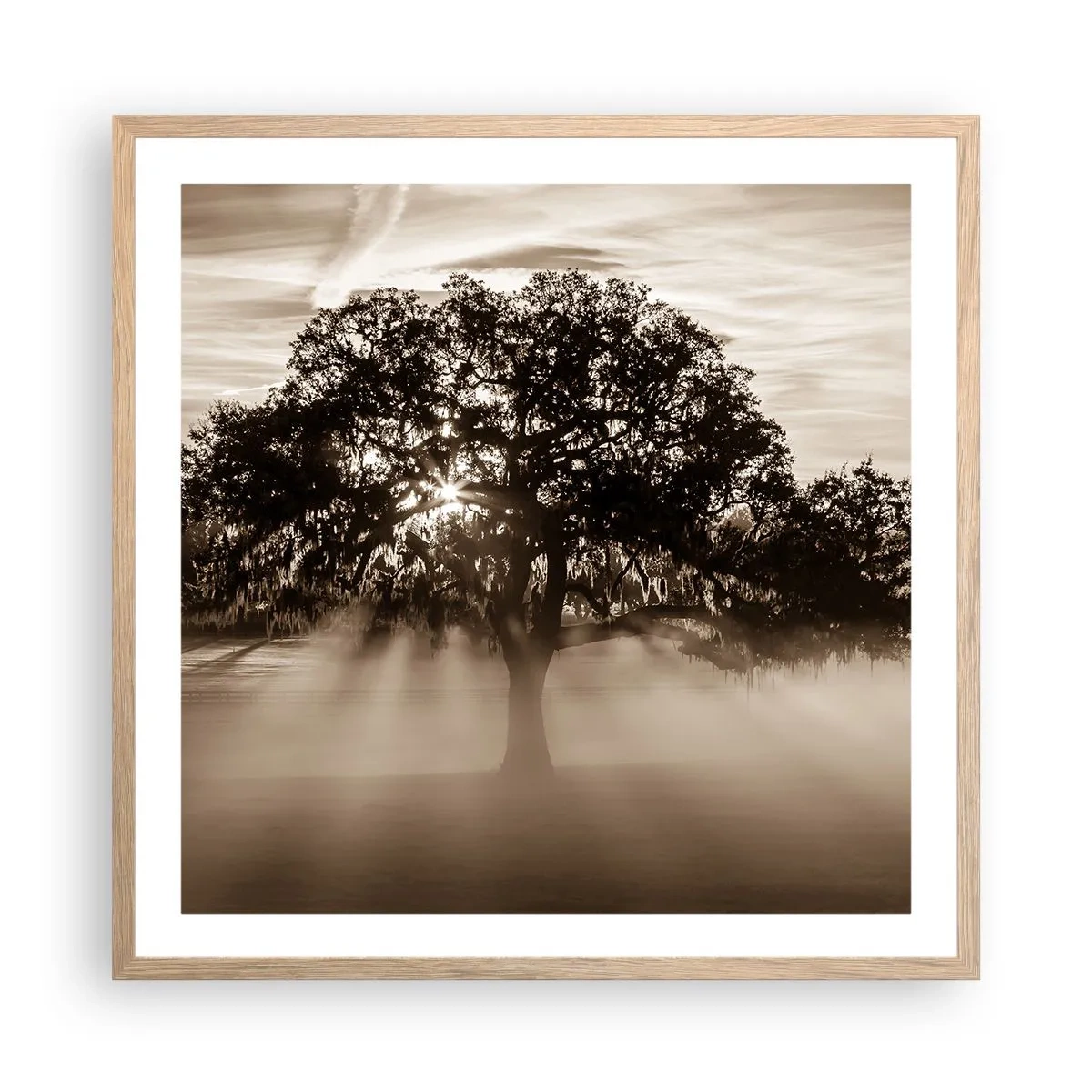Poster in cornice rovere chiaro - L'albero delle sole buone notizie - 60x60 cm