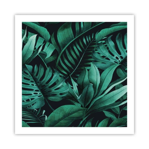 Poster - Dal profondo del verde tropicale - 60x60 cm
