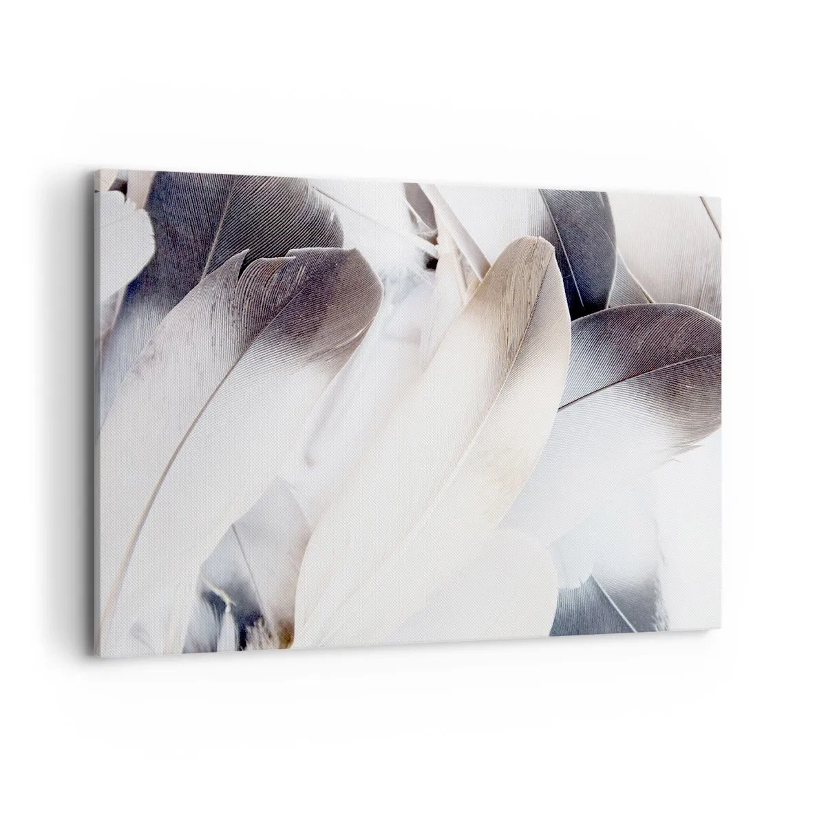 Quadro su tela - Stampe su Tela - Primo piano di piume delicate nelle tonalità del bianco e del grigio - 120x80cm - Quasi angeliche - Decorazione murale moderna per soggiorno e camera da letto ARTTOR