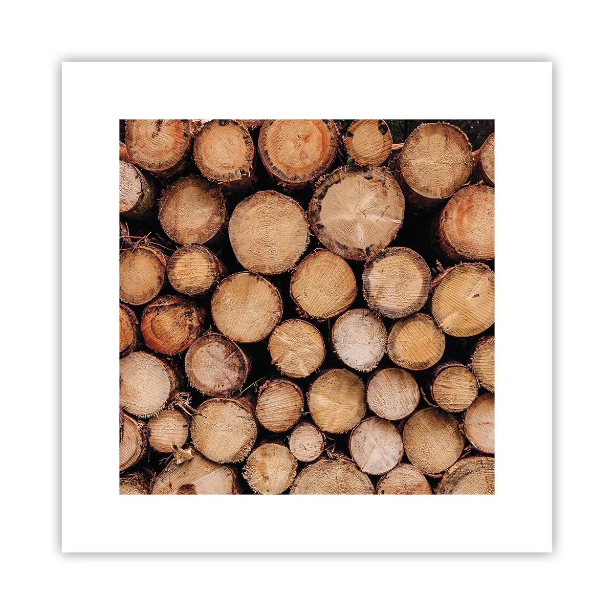 Poster - Nuovo inizio - 30x30 cm