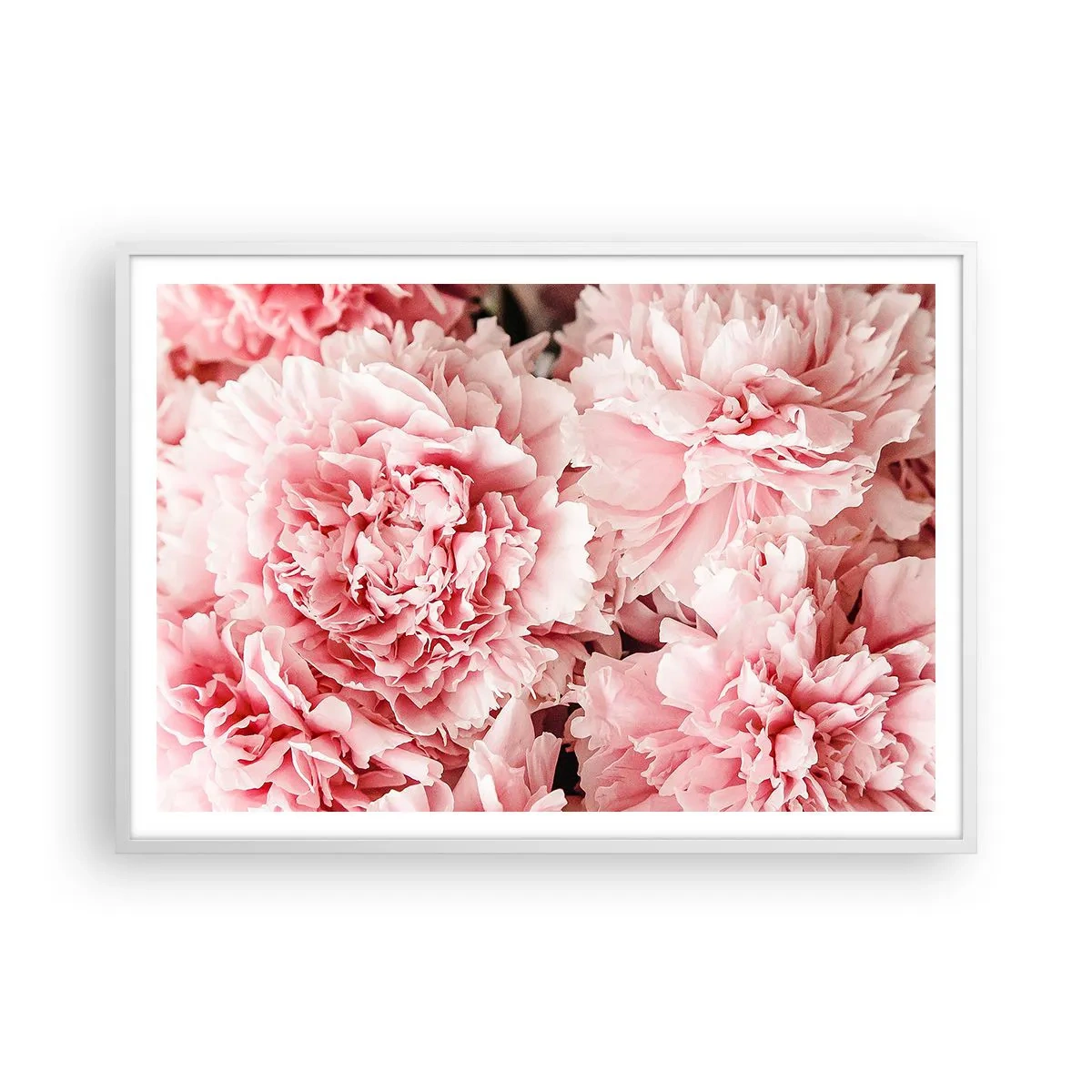 Poster in cornice bianca - Sogno rosa - 100x70 cm