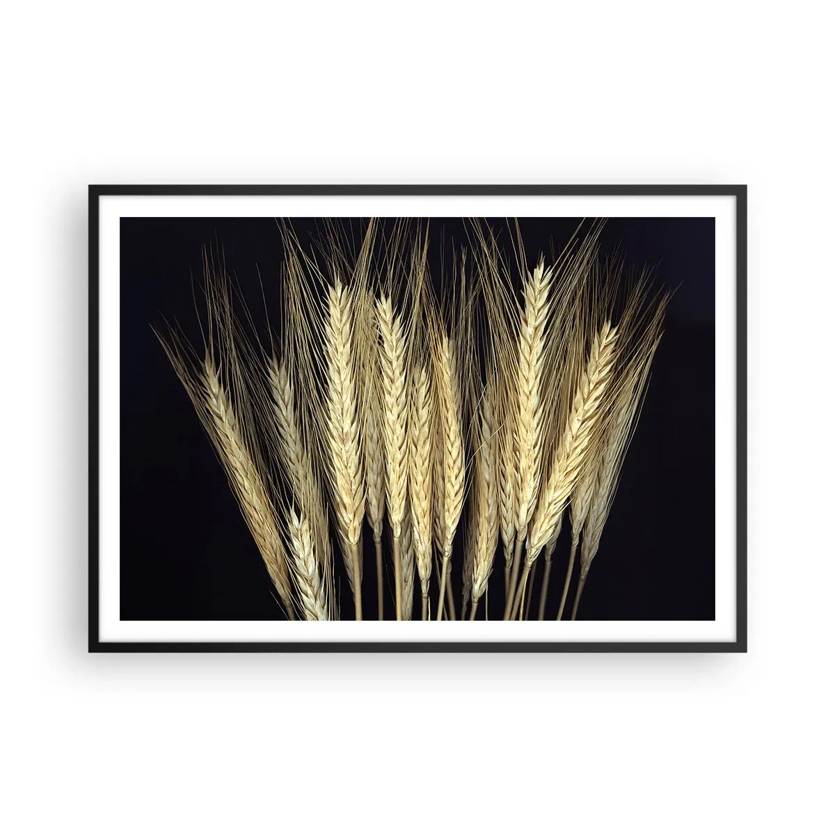 Poster in cornice nera - Spighe di grano su sfondo nero in stile rustico - 100x70cm - Magia rustica - Decorazione murale moderna per soggiorno e camera da letto ARTTOR