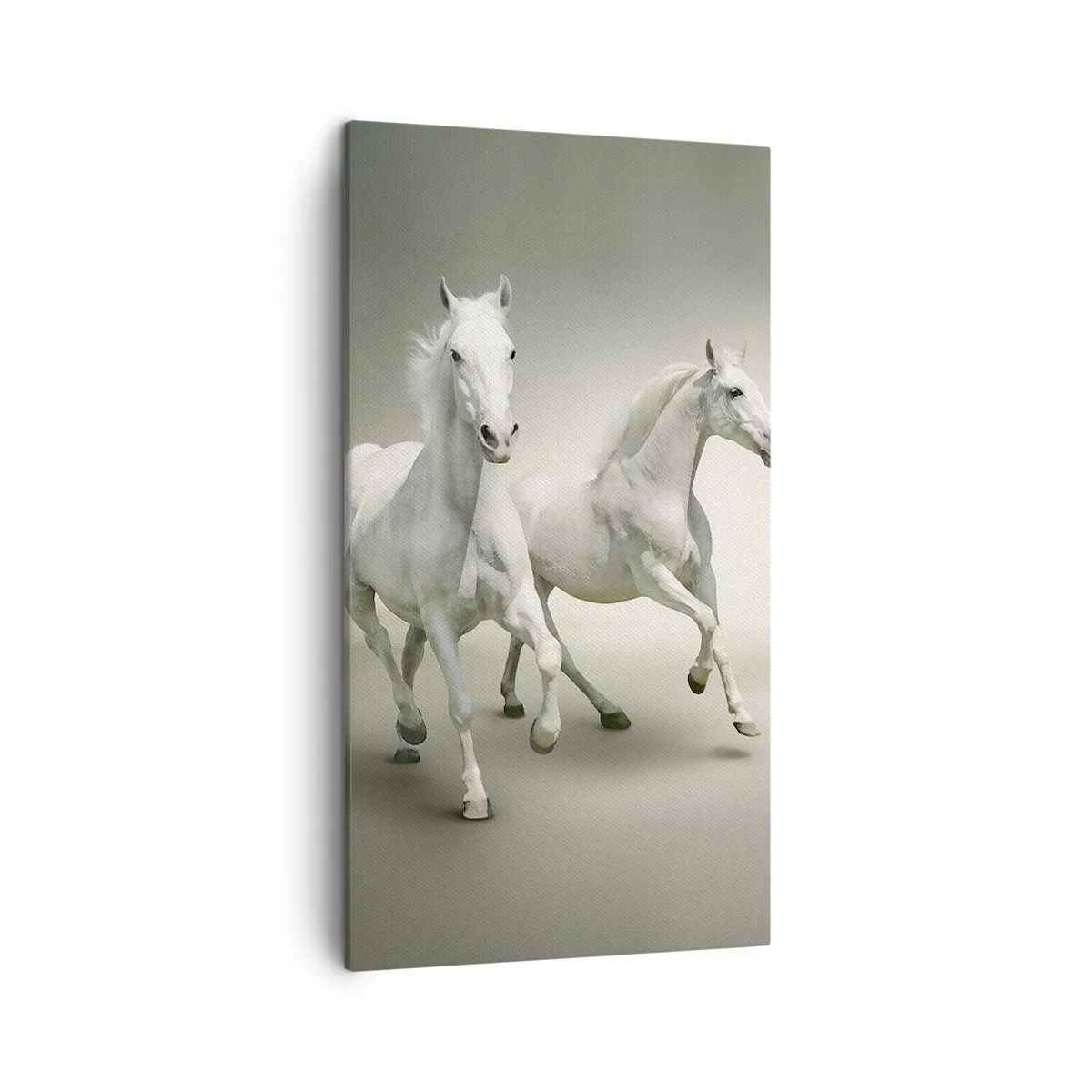 Quadro su tela - Stampe su Tela - White power! - 45x80 cm