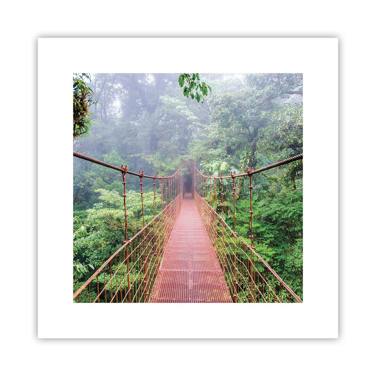 Poster - Sospeso sopra gli alberi - 30x30 cm