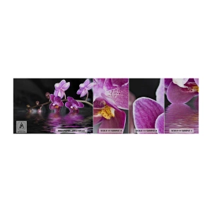 Campione di Fotomurale Premium Canvas - La bellezza riflessa dai gigli - Fiori, Orchidea, Natura - 100x30 cm