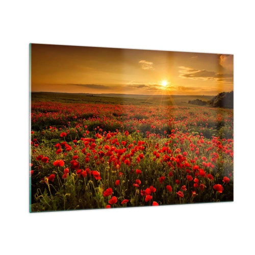 Quadro su vetro - Un campo di papaveri illuminato dai raggi del sole al tramonto - 100x70cm - Tra il fruscio delle erbe, in un'esplosione di fiori - Decorazione murale moderna per soggiorno e camera da letto ARTTOR