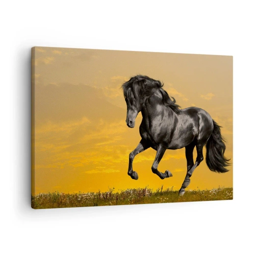 Quadro su tela - Stampe su Tela - Un cavallo nero galoppa sullo sfondo di un tramonto dorato. - 70x50cm - Bello, libero e selvaggio - Decorazione murale moderna per soggiorno e camera da letto ARTTOR