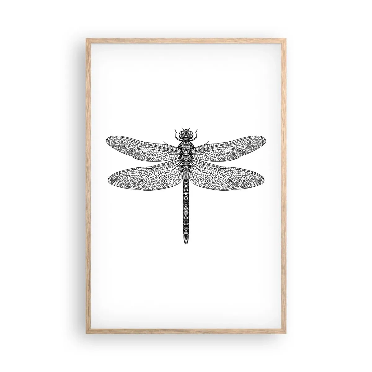 Poster in cornice rovere chiaro - La precisione della natura - 61x91 cm