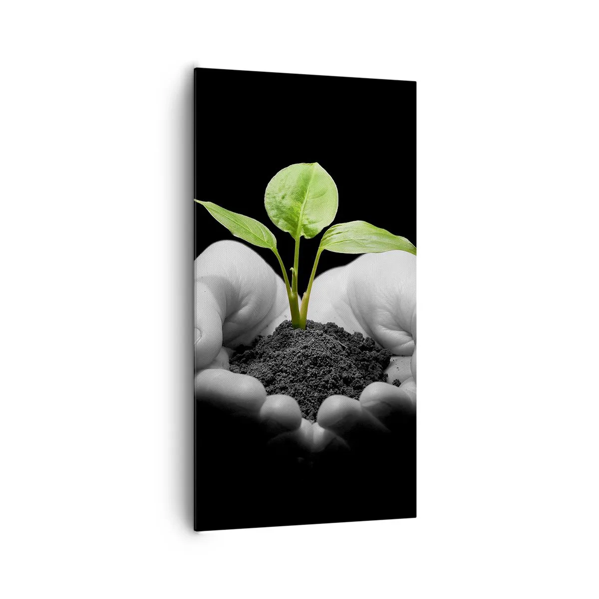 Quadro su tela - Stampe su Tela - Amo la natura, la proteggo - 65x120 cm