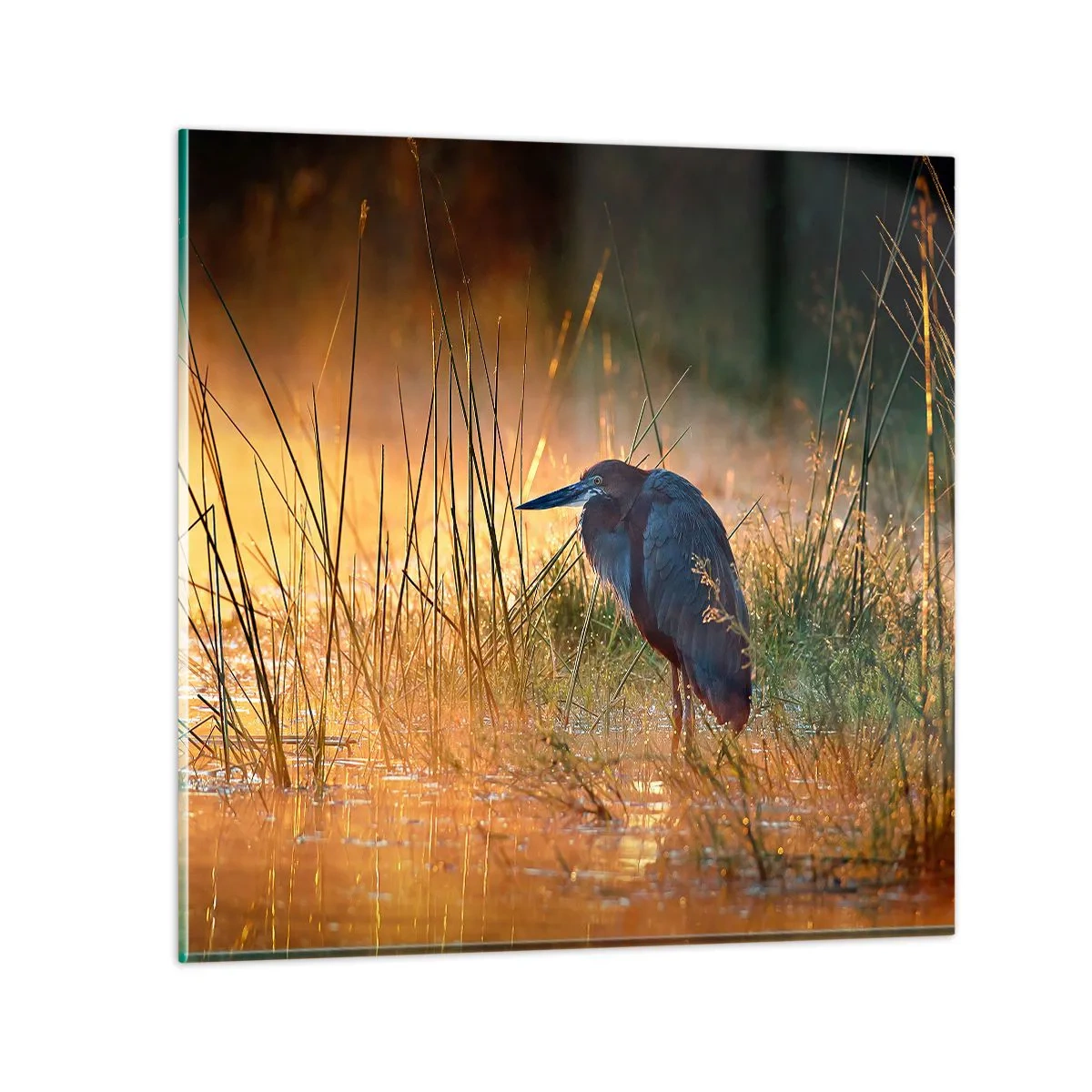 Quadro su vetro - Basta con queste foto - 70x70 cm