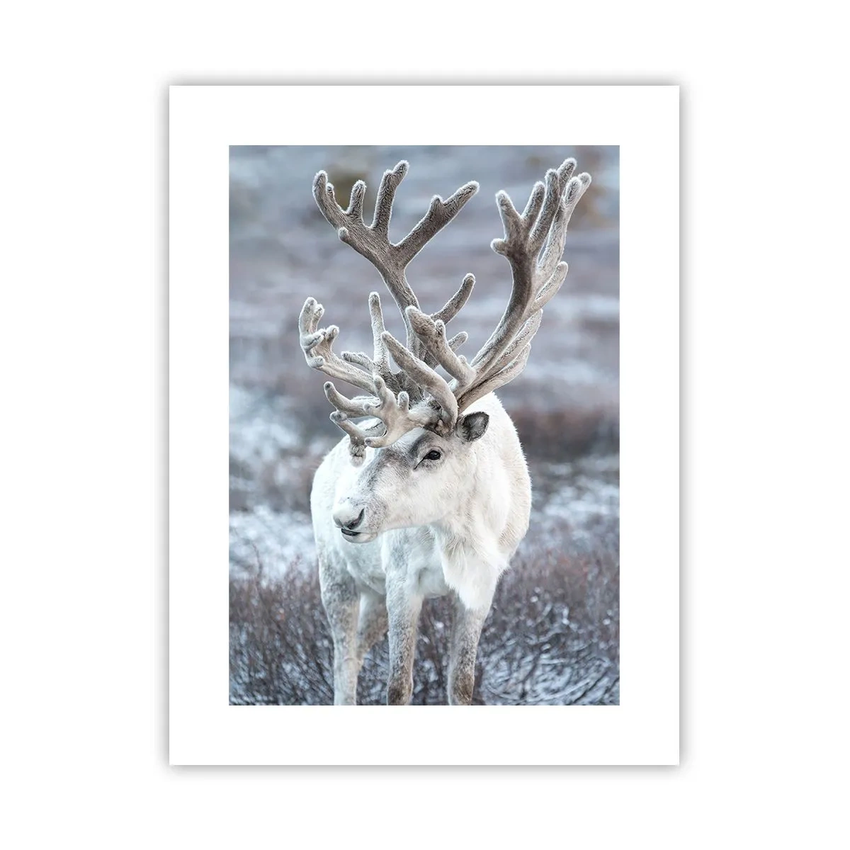 Poster - Ritratto al sole - 30x40 cm