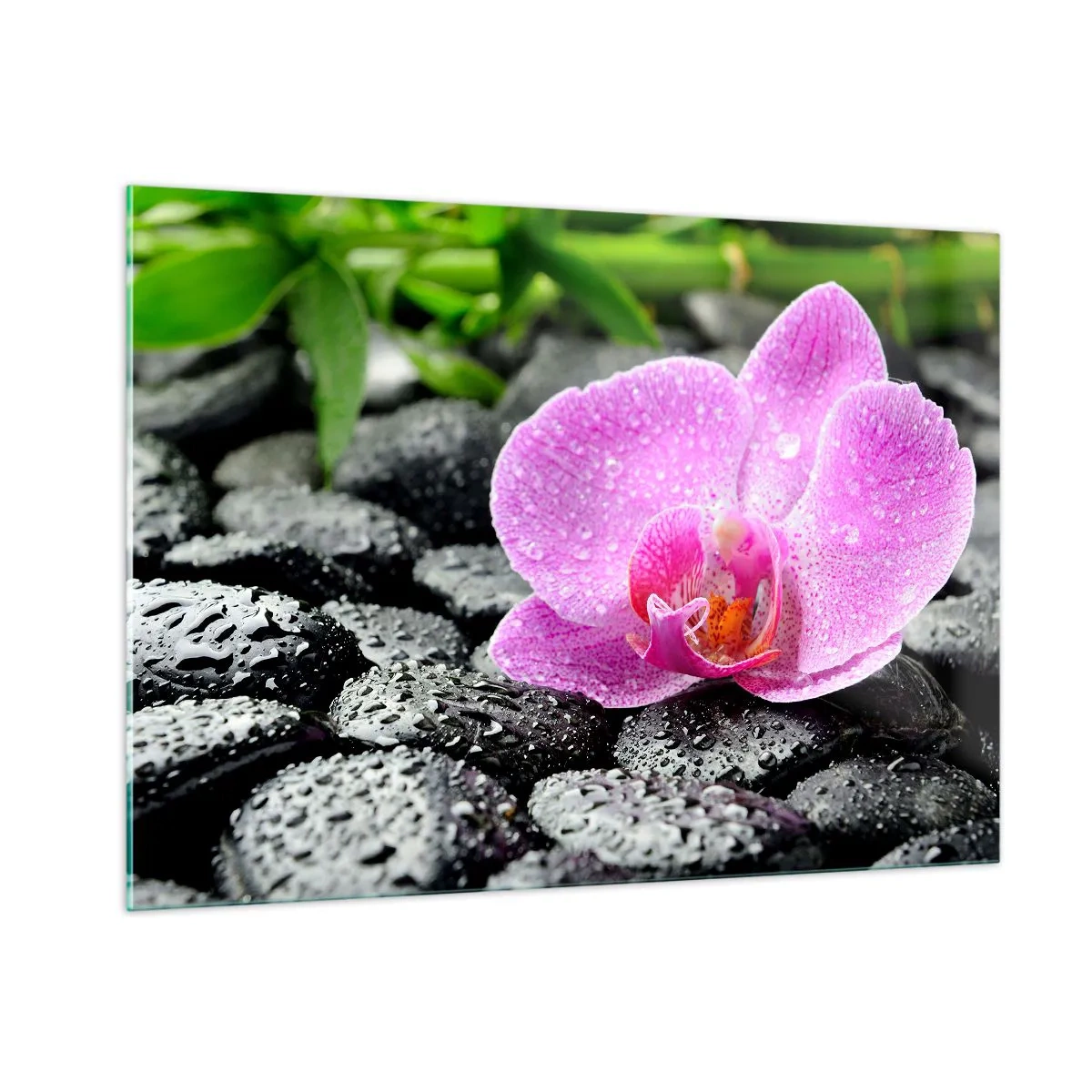 Quadro su vetro - Fiore di orchidea rosa su pietre nere bagnate - 100x70cm - Come un cuore aperto - Decorazione murale moderna per soggiorno e camera da letto ARTTOR