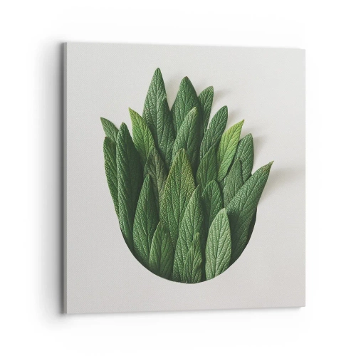 Quadro su tela - Stampe su Tela - Curiosità irrefrenabile - 70x70 cm