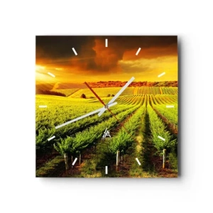 Orologio da parete - Orologio in Vetro - Vigneti dorati illuminati dai raggi del sole - 30x30cm - Sotto il sole dell'Australia - Decorazione murale moderna per soggiorno e camera da letto ARTTOR
