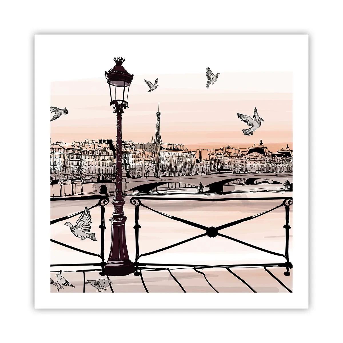 Poster - Sui tetti di Parigi - 60x60 cm