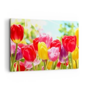 Quadro su tela - Stampe su Tela - Tulipani colorati in piena fioritura su uno sfondo primaverile - 100x70cm - Eccoci, i colori di maggio! - Decorazione murale moderna per soggiorno e camera da letto ARTTOR