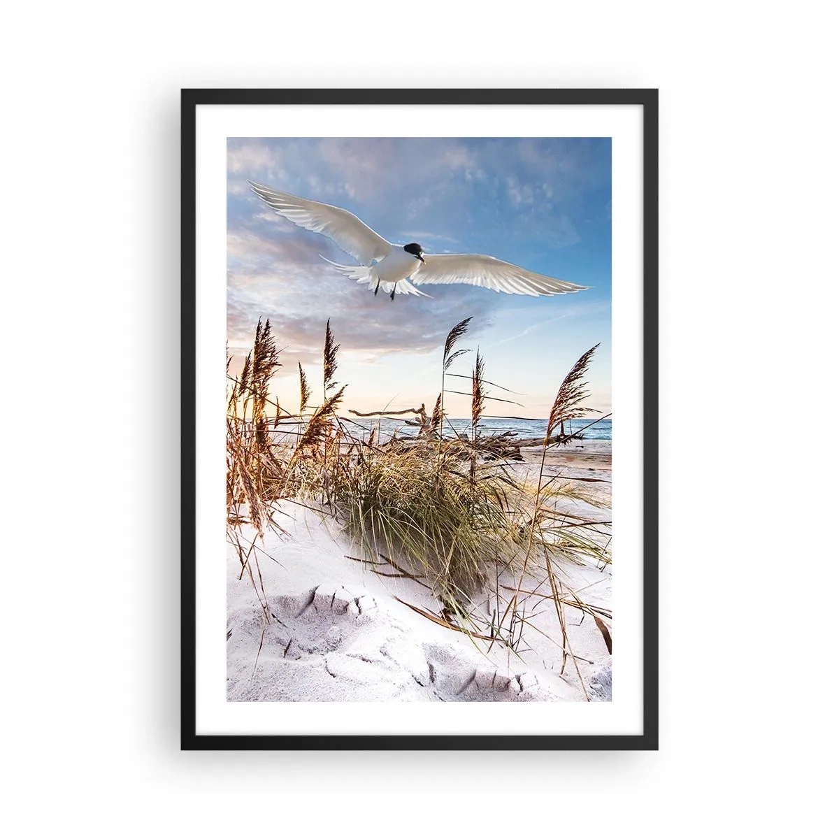 Poster in cornice nera - Un uccello in volo sopra le dune e il mare al tramonto - 50x70cm - Vento dal mare - Decorazione murale moderna per soggiorno e camera da letto ARTTOR